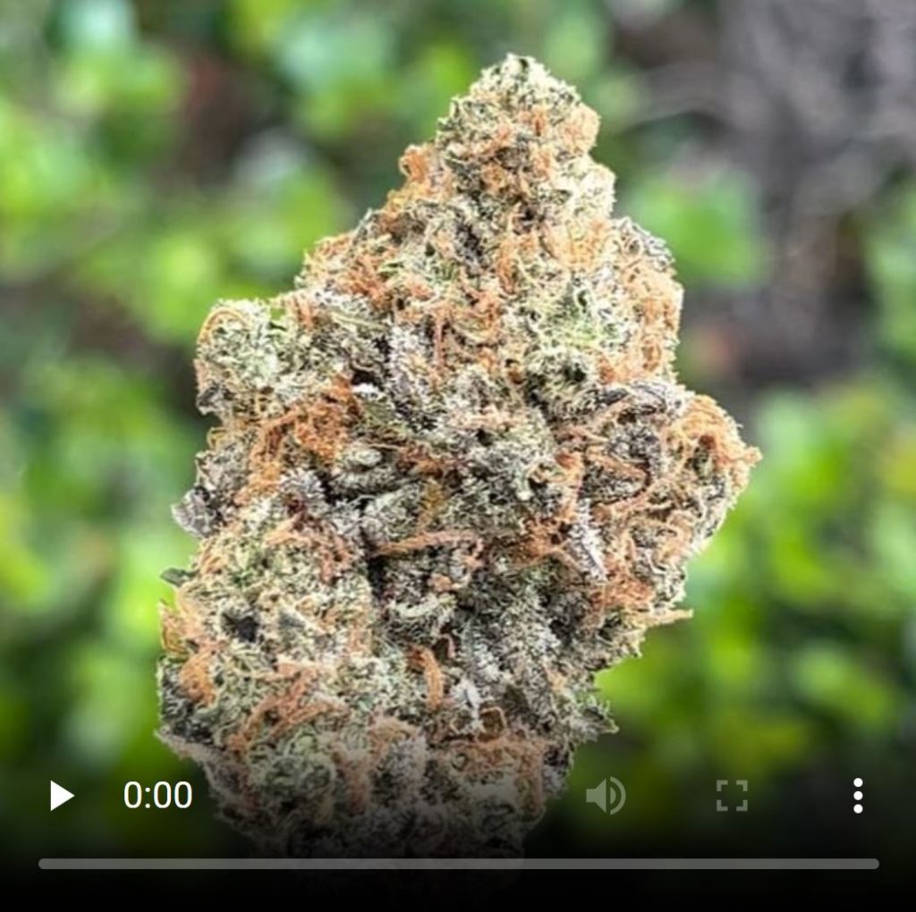 bazooka joe by relentless melts strain review by thethcspot 2