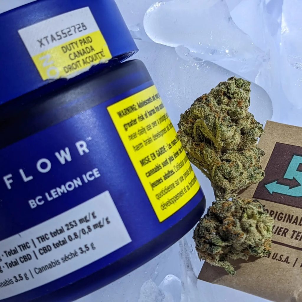 Strain Review BC Lemon Ice by Flowr The Highest Critic