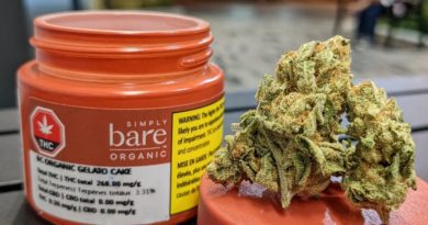 bc organic gelato cake by simply bare strain review by terple grapes