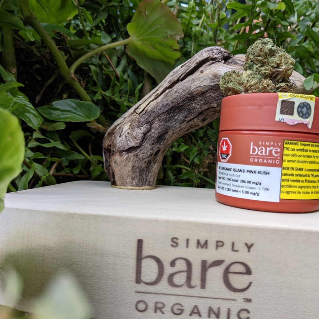 bc organic island pink by simply bare strain review by terple grapes