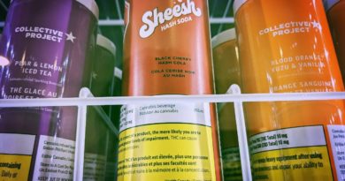 black cherry hash soda by sheesh hash sodas drinkable review by terple grapes