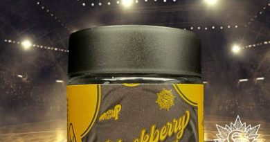 blackberry gary by serge cannabis strain review by thethcspot