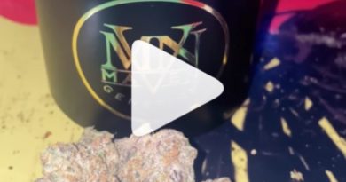 blue lotus by maven genetics strain review by humbles_review