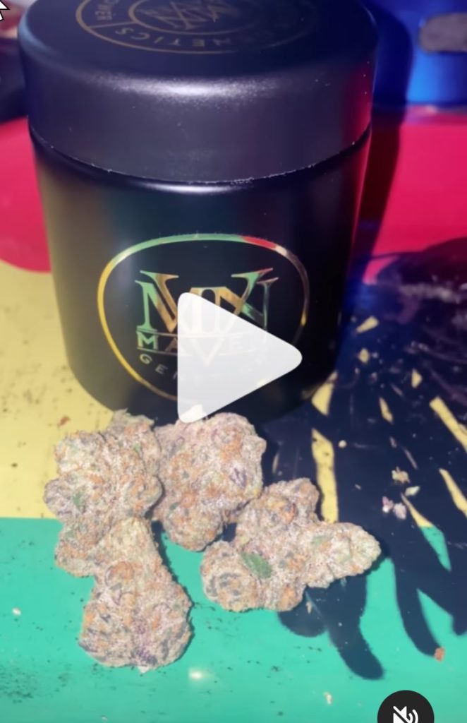 blue lotus by maven genetics strain review by humbles_review