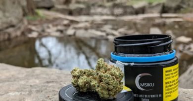 bucket list 91 x the white 91 by msiku strain review by terple grapes