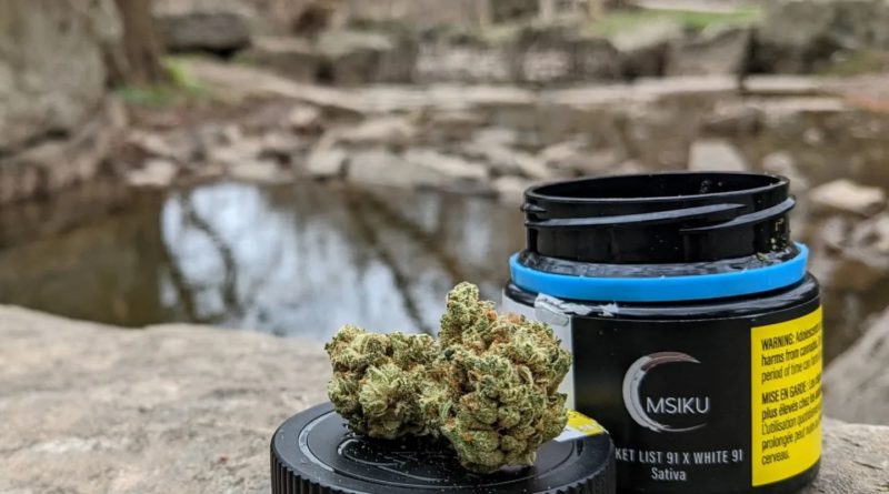 bucket list 91 x the white 91 by msiku strain review by terple grapes