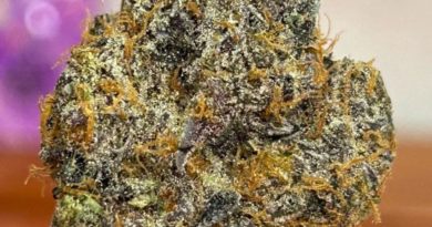 carbon fiber by diamond fire strain review by calibudreviews