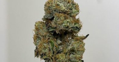 cherry lime runtz by so dank exotics strain review by bccalibudreview