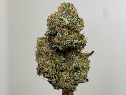 cherry lime runtz by so dank exotics strain review by bccalibudreview