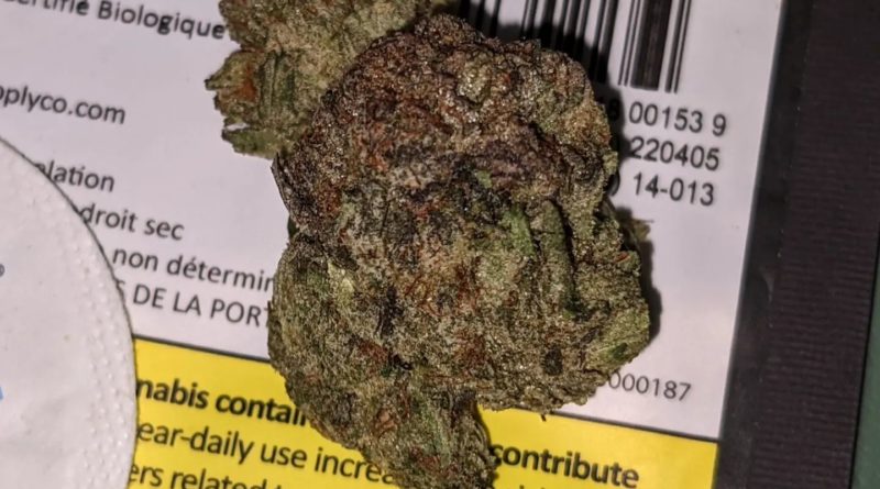 comatose by 1964 supply co strain review by terple grapes