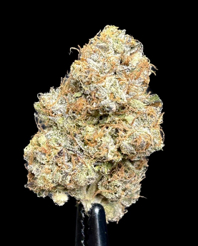 cookie dough by team elite genetics pictures and strain review by cali_bud_reviews