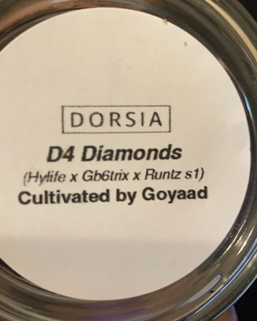 d4 diamonds by goyaad maison strain review by feartheterps