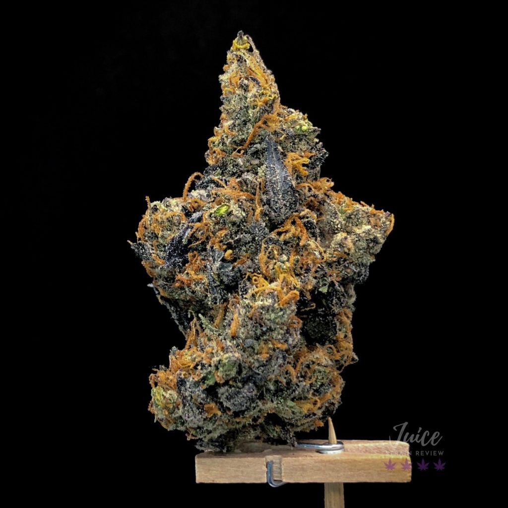 death mints strain review by cannabisseur604 2