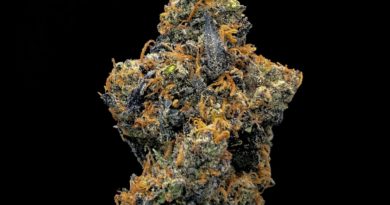 death mints strain review by cannabisseur604 2