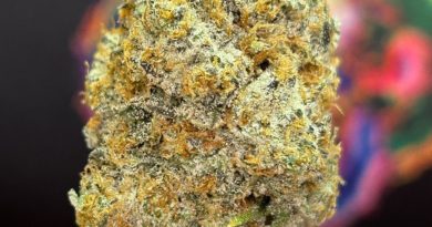 diamond guava gelato by nameless genetics strain review by cali_bud_reviews