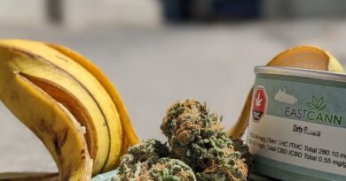 dirty banana by eastcann strain review by terple grapes 2