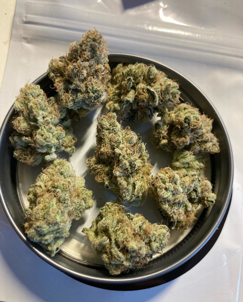 dirty z by you know waz good strain review by jaz_reviews_ca 3