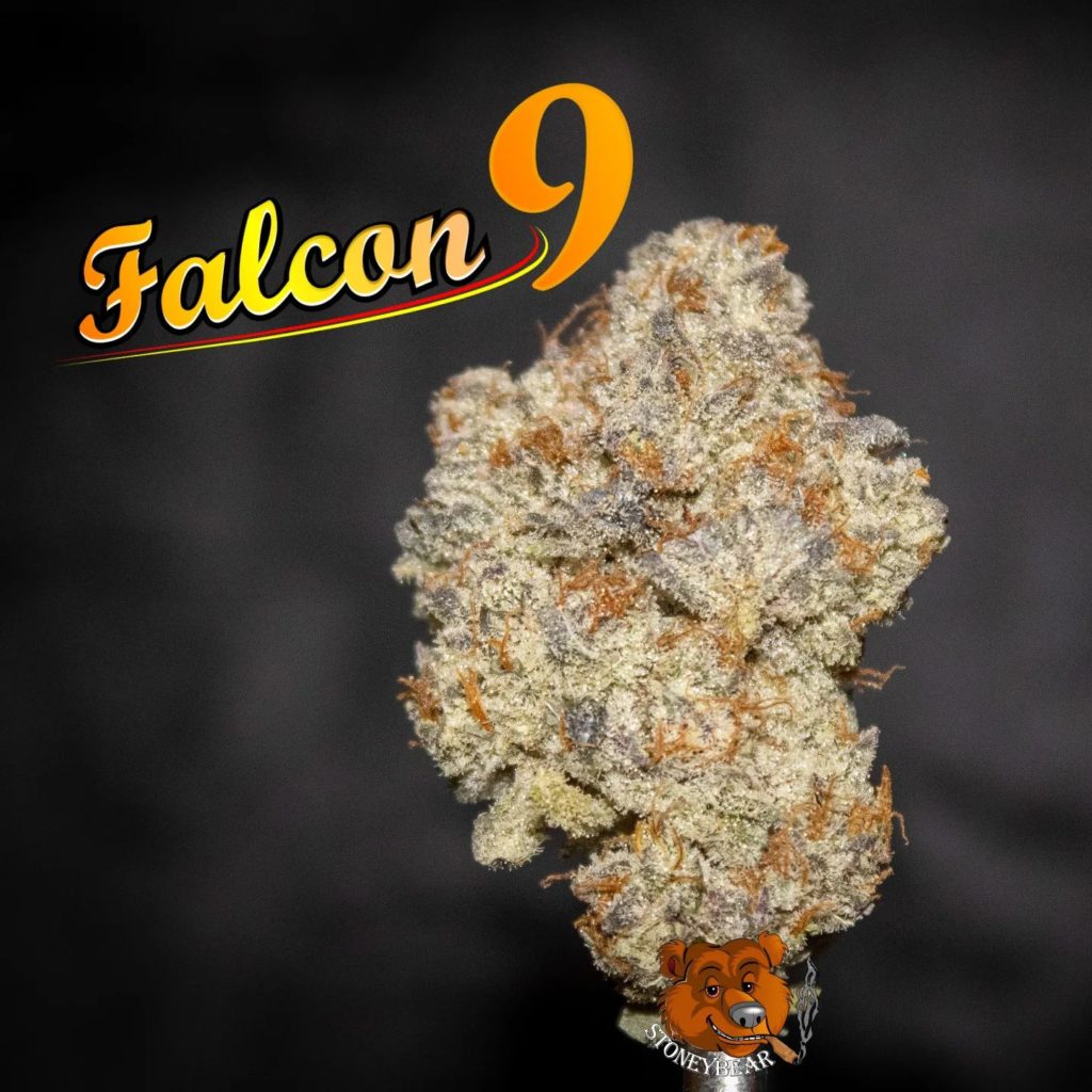 falcon 9 by awol genetics strain review by stoneybearreviews