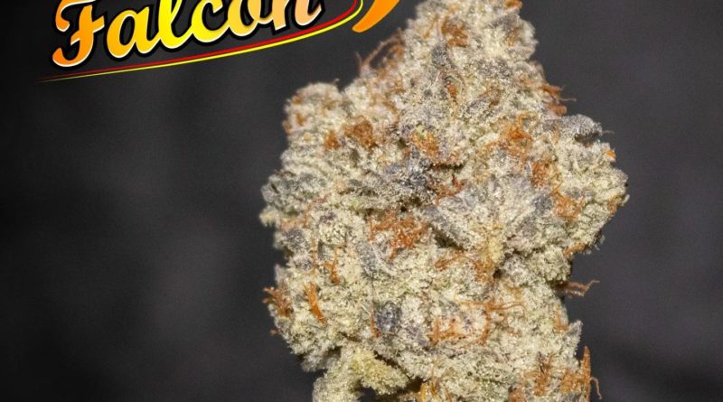 falcon 9 by awol genetics strain review by stoneybearreviews