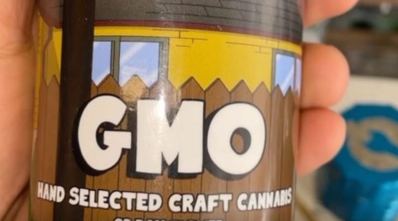 gmo by no till hank hill strain review by letmeseewhatusmokin