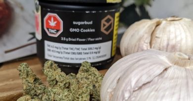 gmo cookies by sugarbud strain review by terple grapes 2