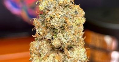 grandmas cookies by team elite genetics strain review by cali_bud_reviews