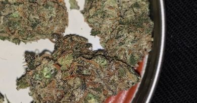 greasy runtz by painted flowerz strain review by feartheterps