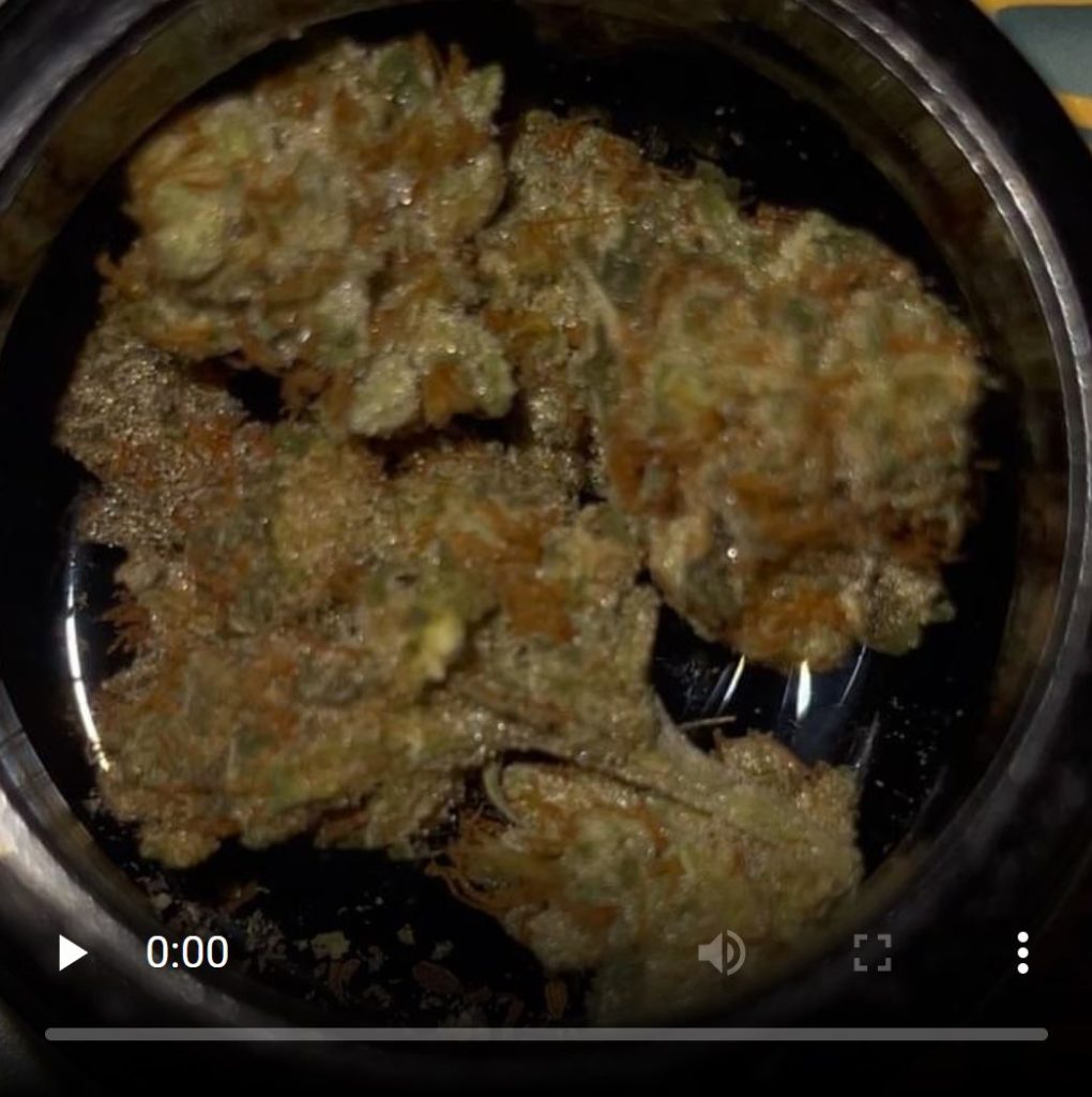 juicy fruit by shamrock exotics strain review by feartheterps