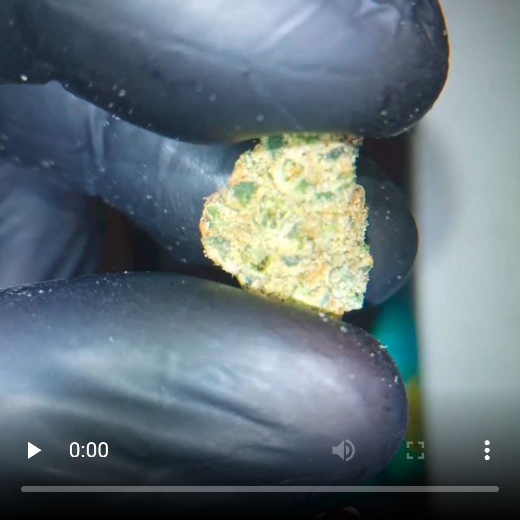 Strain Review Kerosene by High Season The Highest Critic