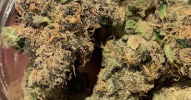 kryptochronic by well rooted genetics strain review by feartheterps