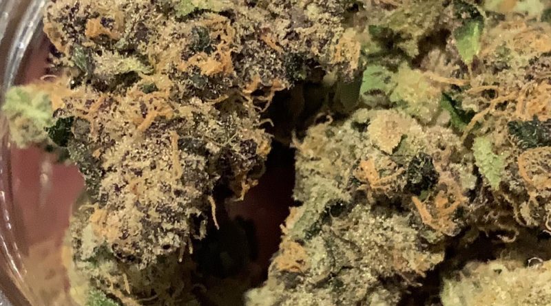 kryptochronic by well rooted genetics strain review by feartheterps
