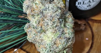 landslide by miracle valley strain review by terple grapes