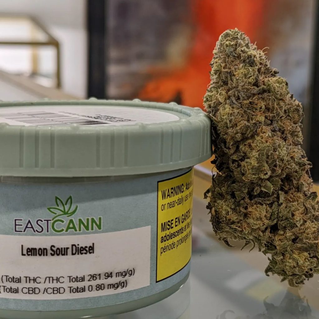 lemon sour diesel by eastcann strain review by terple grapes