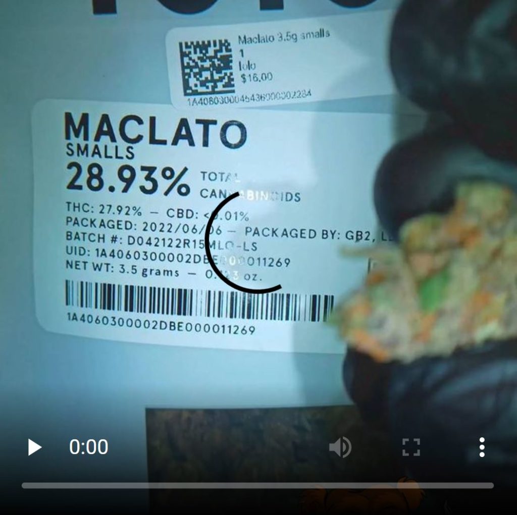 maclato by lolo cannabis strain review by stoneybearreviews