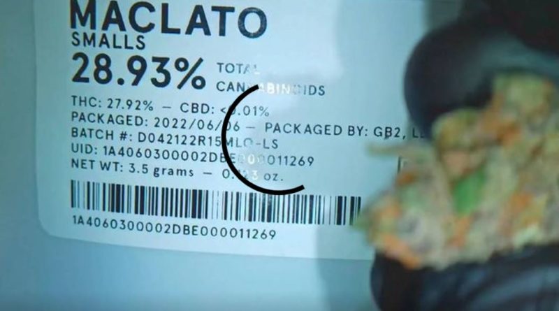 maclato by lolo cannabis strain review by stoneybearreviews