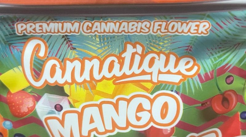 mango milkshake by cannatique strain review by feartheterps