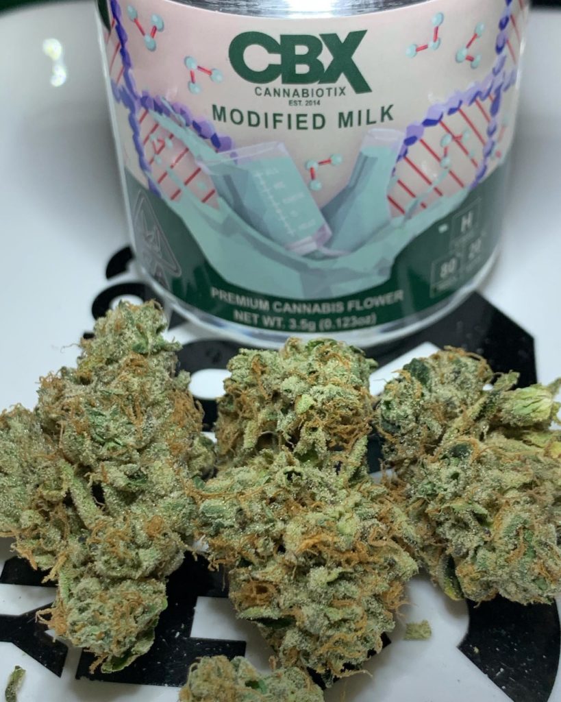 modified milk by cannabiotix strain review by ogkush_or_nah