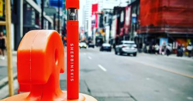 orange sherbs live resin disposable vape pen by sherbinskis vape review by terple grapes