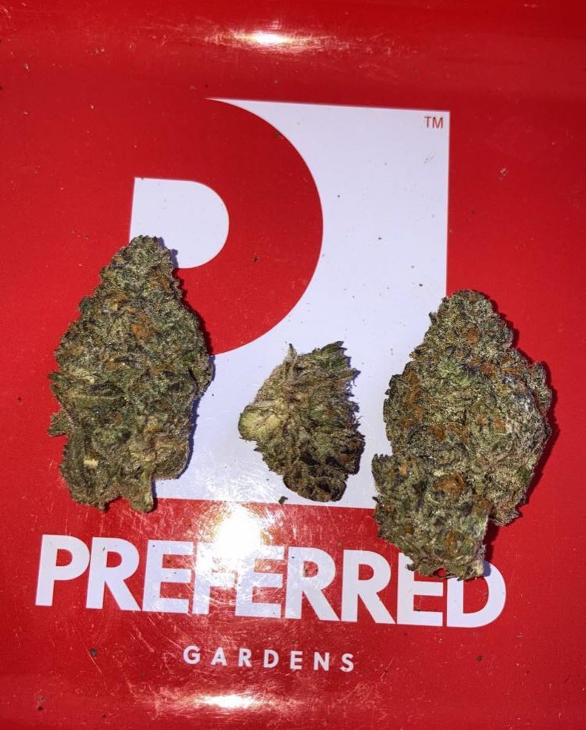 oreoz by preferred gardens strain review by jaz_reviews_ca 2