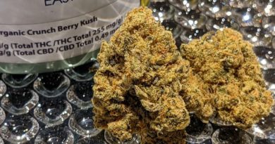 organic crunch berry kush by eastcann strain review by terple grapes