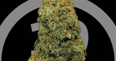 organic romulan by 1964 supply co strain review by cannabisseur604 2