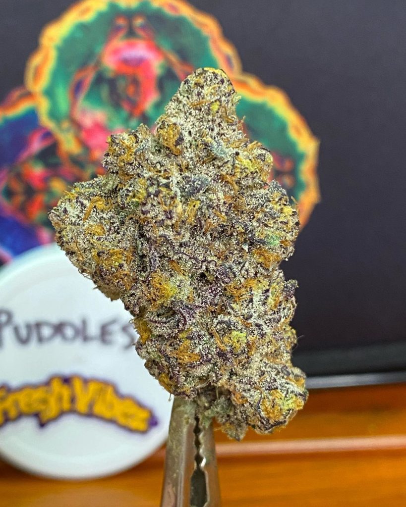 puddles by fresh vibez flower co strain review by cali_bud_Reviews