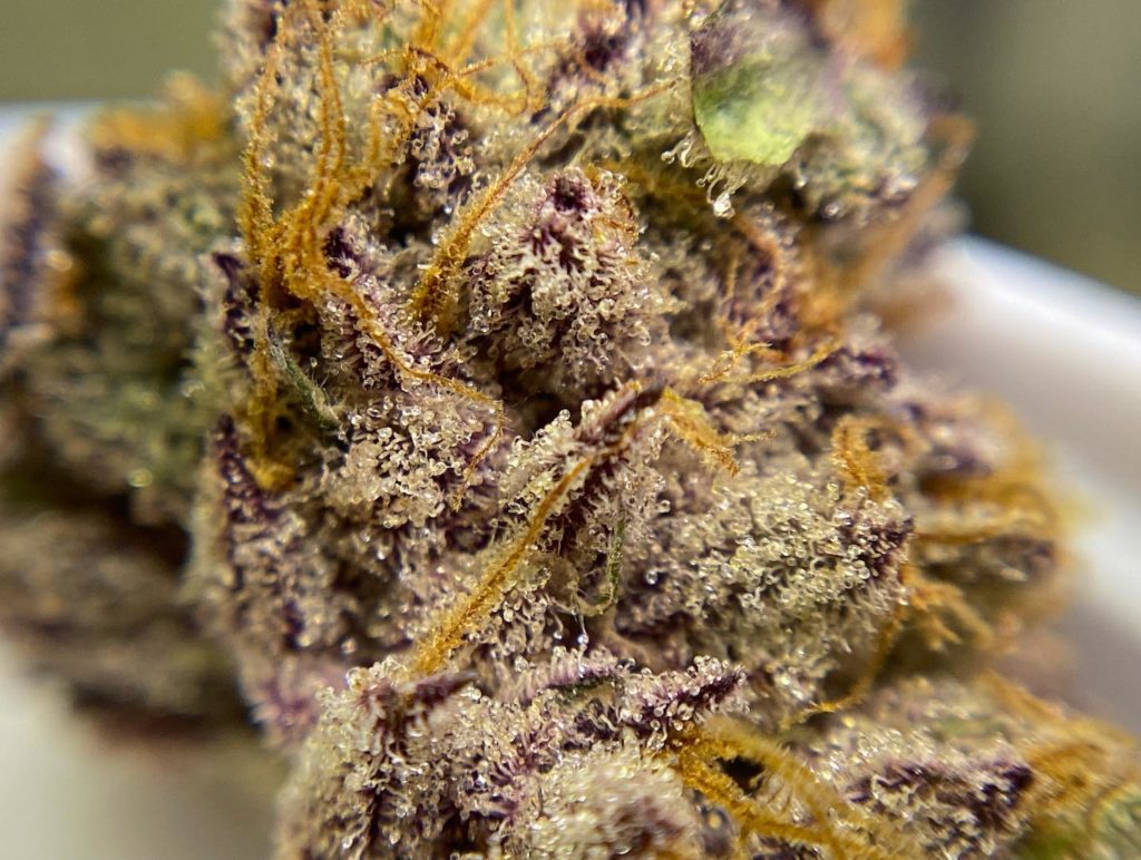 puddles macro by fresh vibez flower co strain review by cali_bud_Reviews