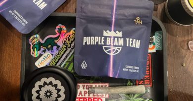 purple beam team by turkey bag heroes strain review by thecannaisseurking