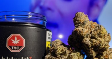 purple rain by blkmkt strain review by terple grapes