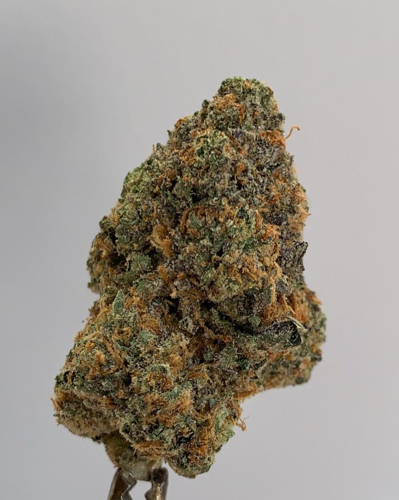 rainbow sherbet 11 by flightpath strain review by wl_official619 2