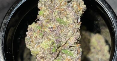 royale by poetry of plants strain review by feartheterps