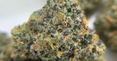 rs11 by highly cultivated strain review by pnw.chronic