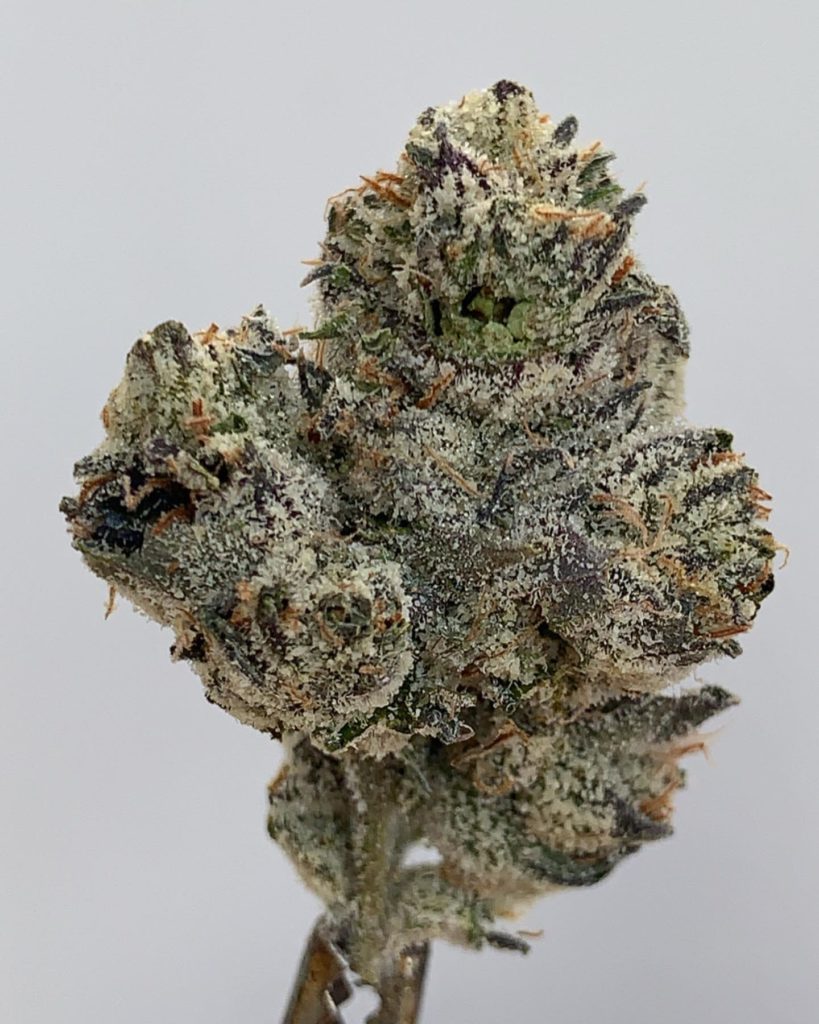 runtz by fig farms strain review by wl_official619 2