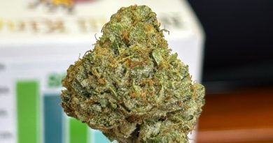 sfv x animal mints by no till kings strain review by cali_bud_reviews